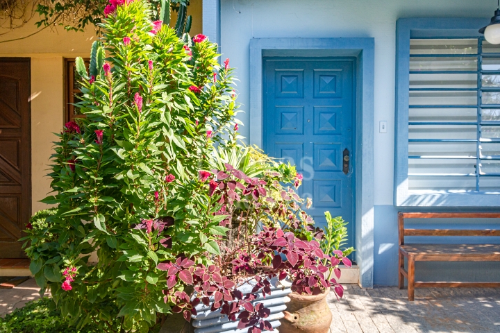 Uma graciosa casa de vila para venda! - Na Vila Olímpia! Ótima localização!
